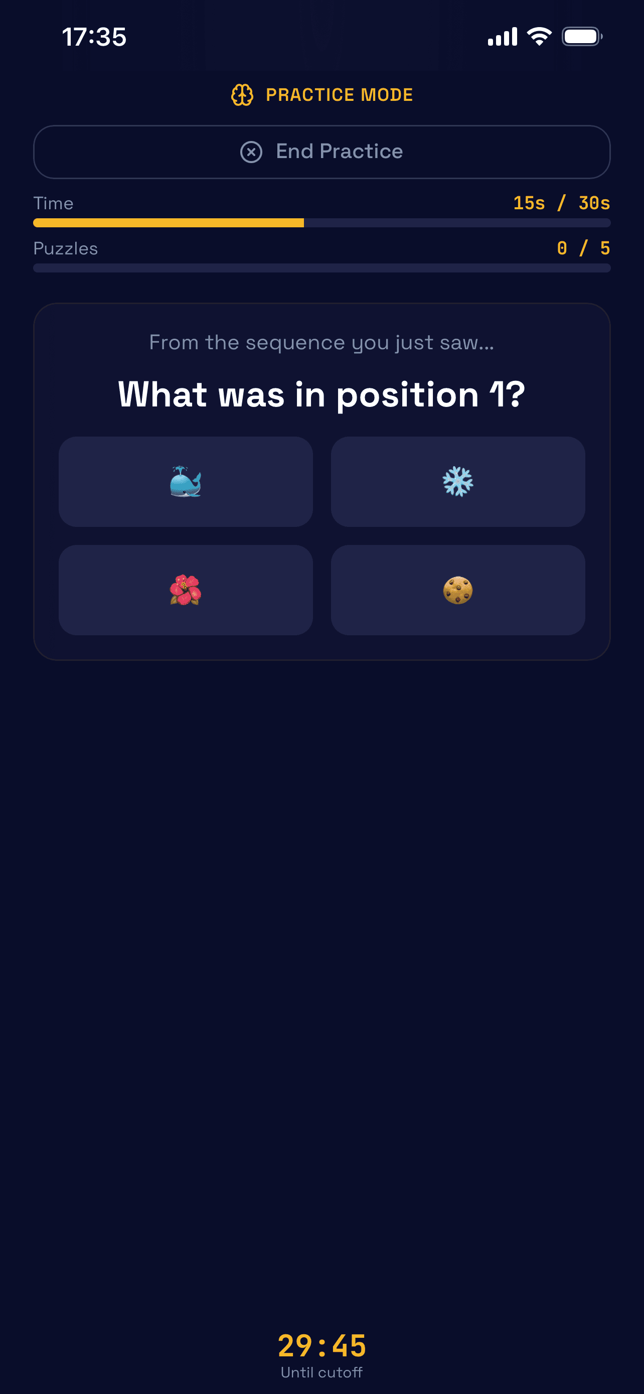 Memory puzzle